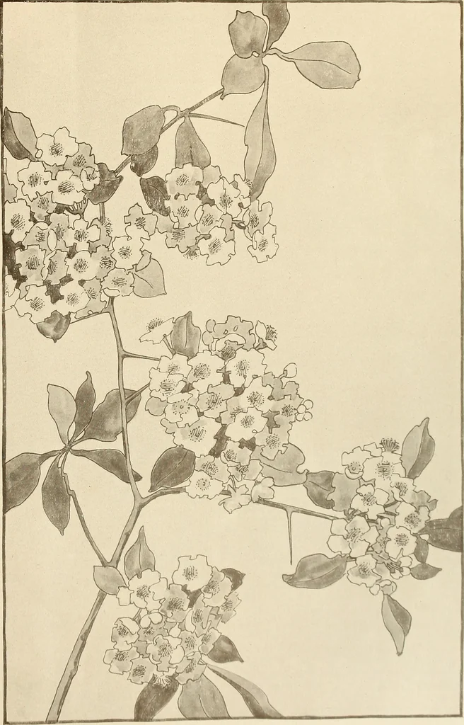 An illustration from Keramic studio, 1899, leaf 262