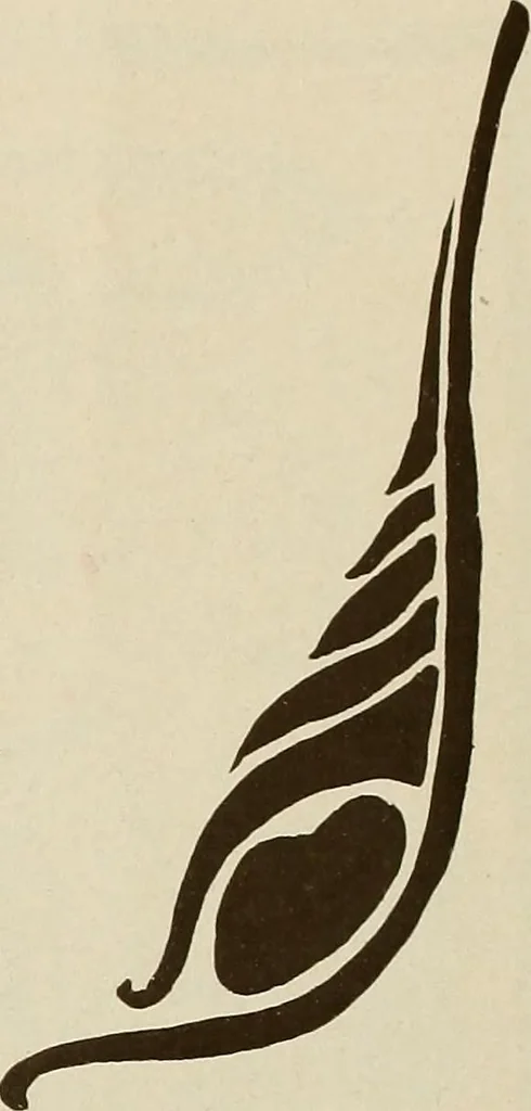 An illustration from Keramic studio, 1899, leaf 277