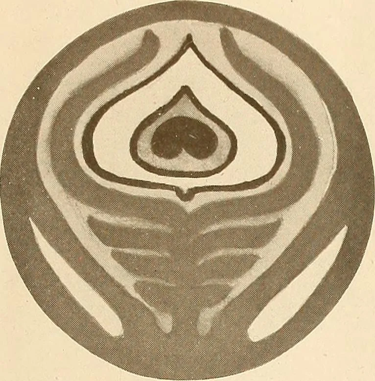An illustration from Keramic studio, 1899, leaf 280