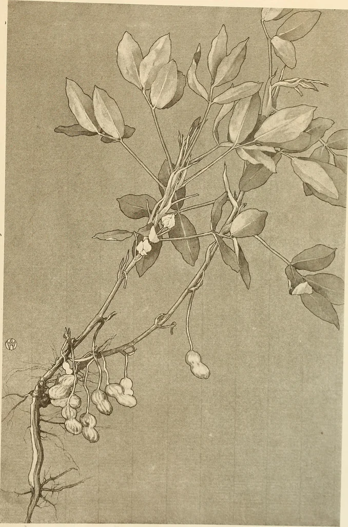 An illustration from Keramic studio, 1899, leaf 288