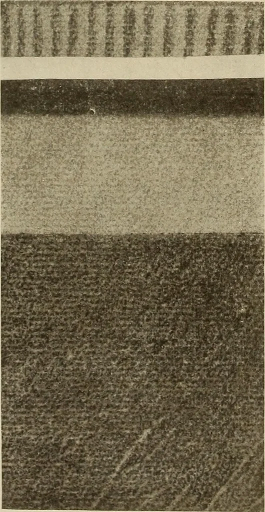 An illustration from Keramic studio, 1899, leaf 29