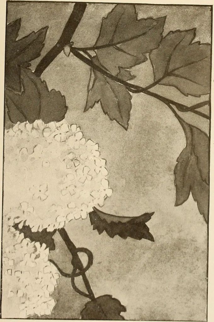 An illustration from Keramic studio, 1899, leaf 292
