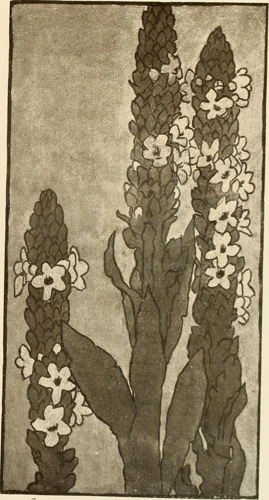 An illustration from Keramic studio, 1899, leaf 292