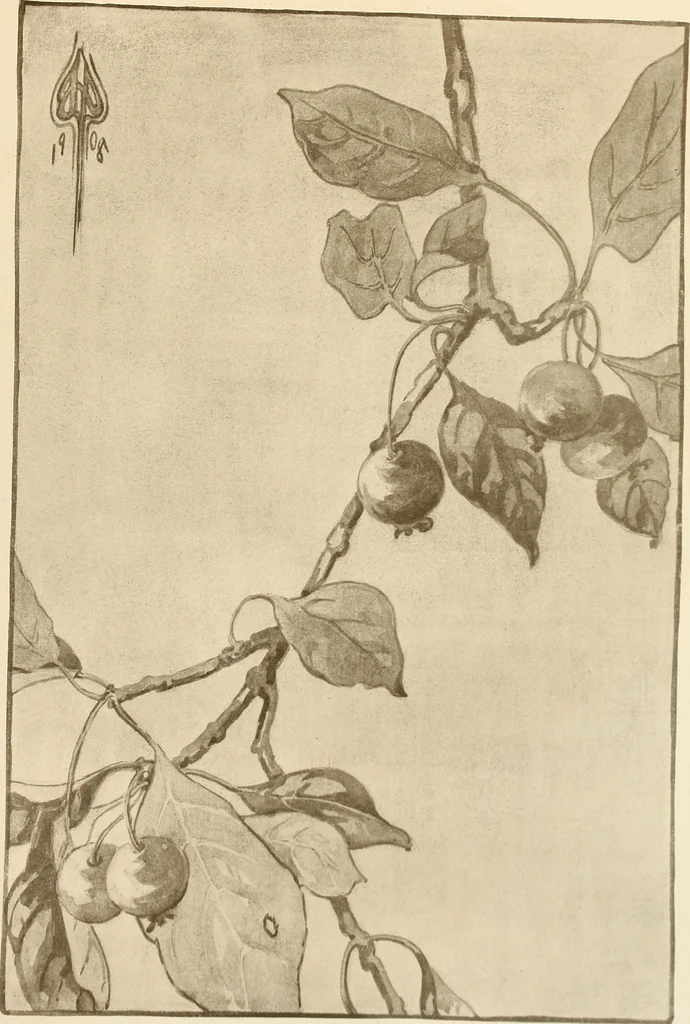 An illustration from Keramic studio, 1899, leaf 294