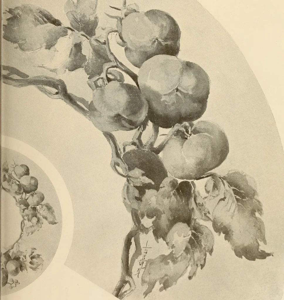 An illustration from Keramic studio, 1899, leaf 298