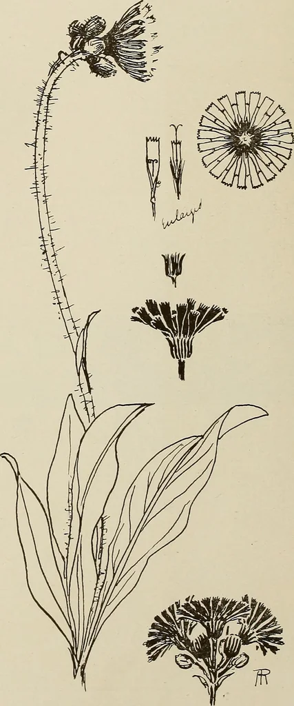 An illustration from Keramic studio, 1899, leaf 303
