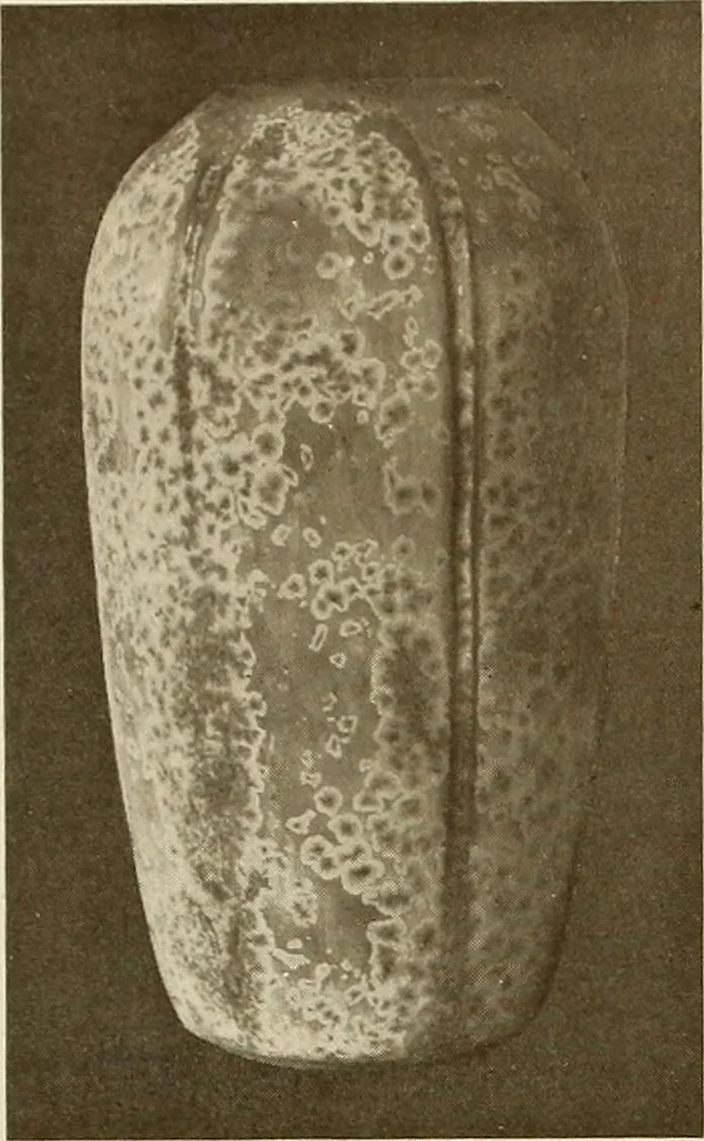 An illustration from Keramic studio, 1899, leaf 315