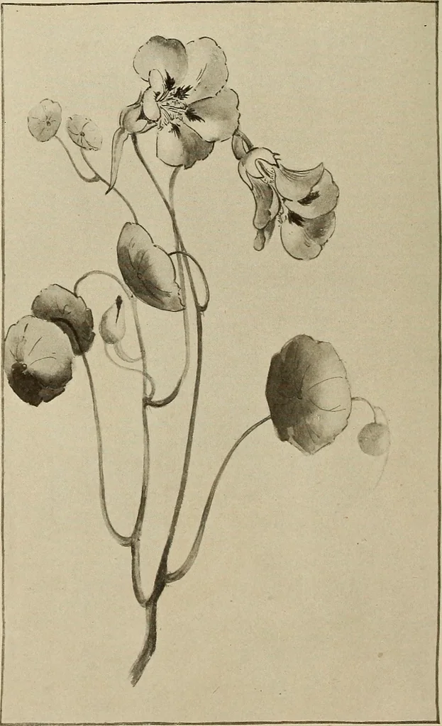 An illustration from Keramic studio, 1899, leaf 319