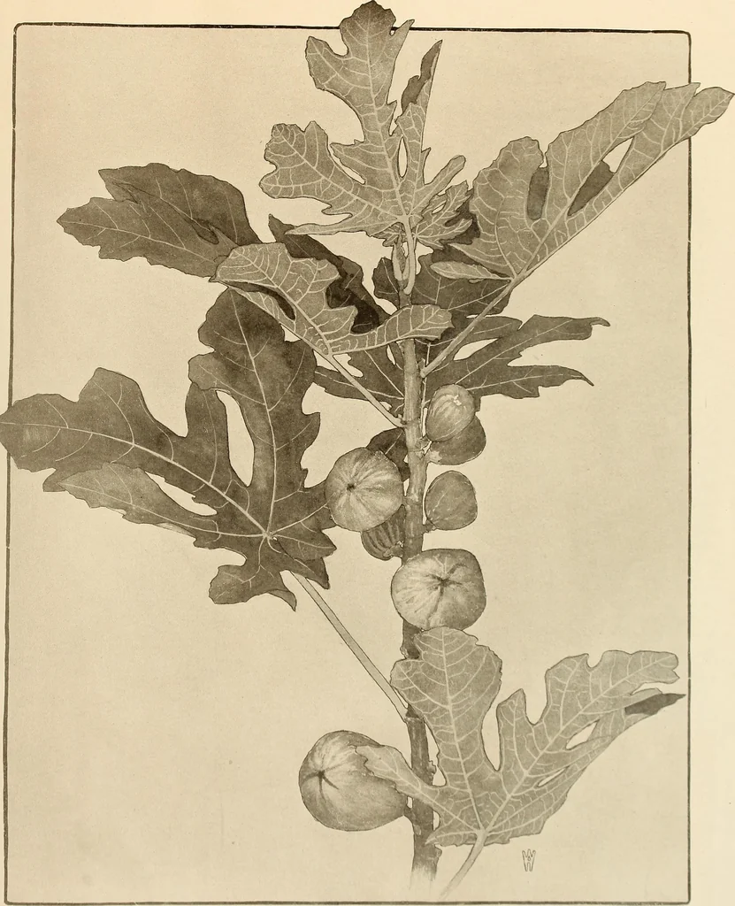 An illustration from Keramic studio, 1899, leaf 322