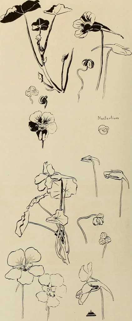 An illustration from Keramic studio, 1899, leaf 329