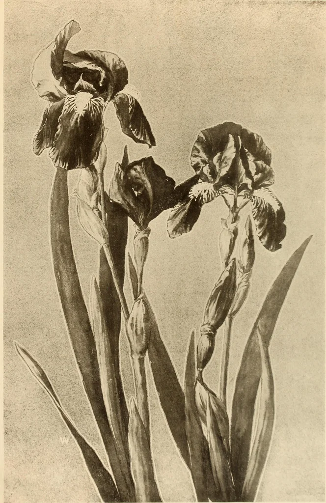 An illustration from Keramic studio, 1899, leaf 334