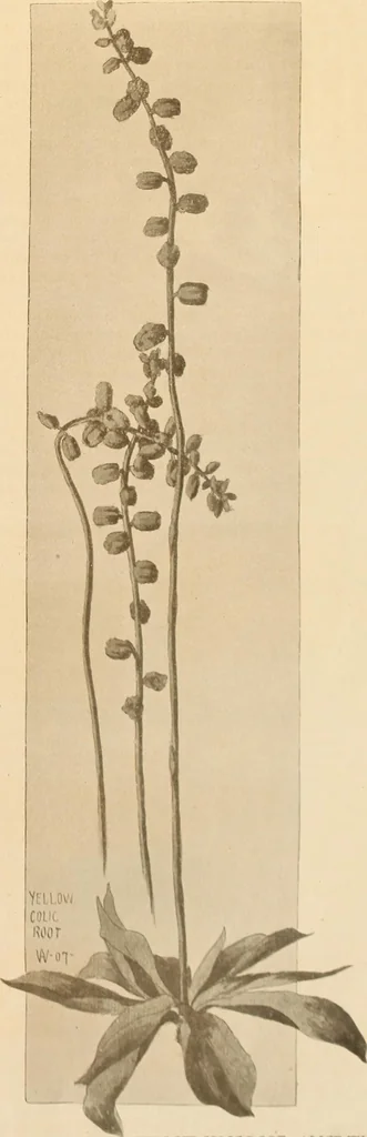 An illustration from Keramic studio, 1899, leaf 72