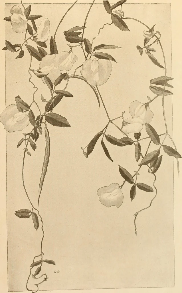An illustration from Keramic studio, 1899, leaf 76