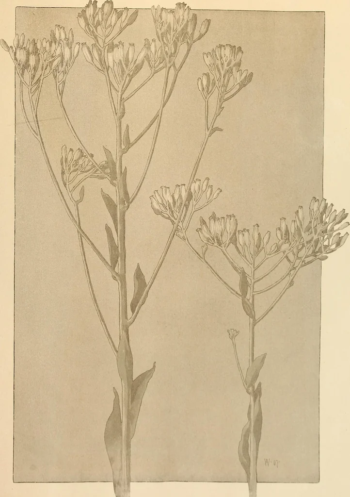 An illustration from Keramic studio, 1899, leaf 78