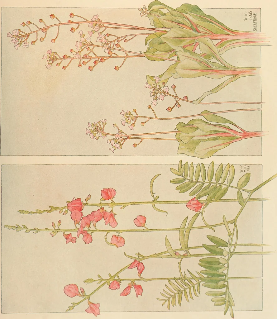 An illustration from Keramic studio, 1899, leaf 80