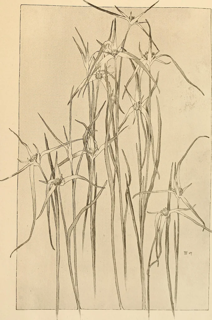 An illustration from Keramic studio, 1899, leaf 82