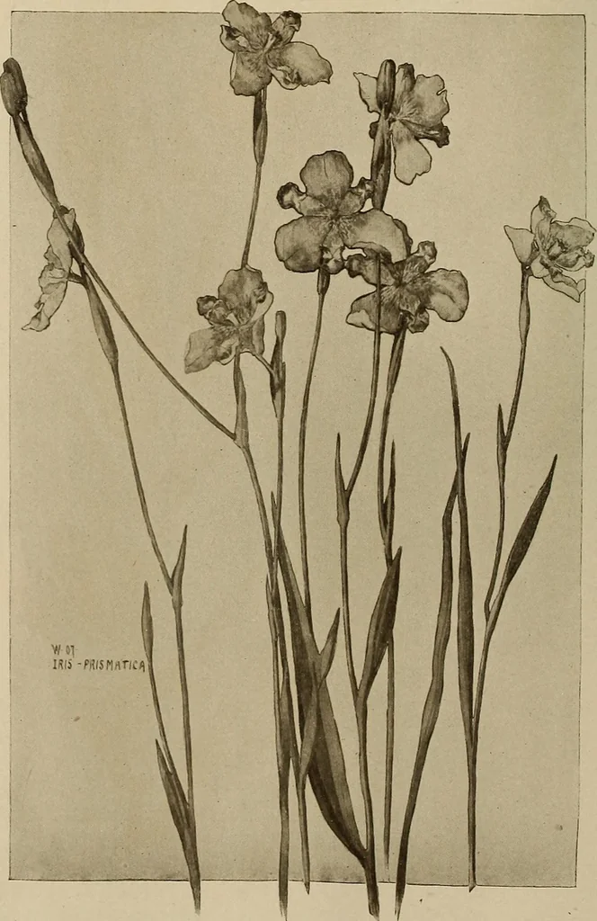 An illustration from Keramic studio, 1899, leaf 83