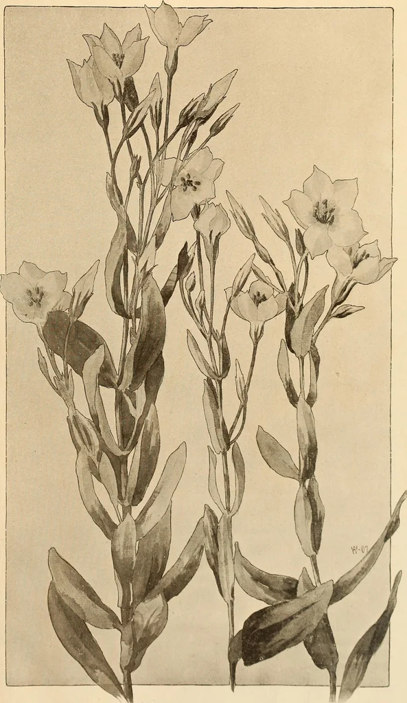 An illustration from Keramic studio, 1899, leaf 84