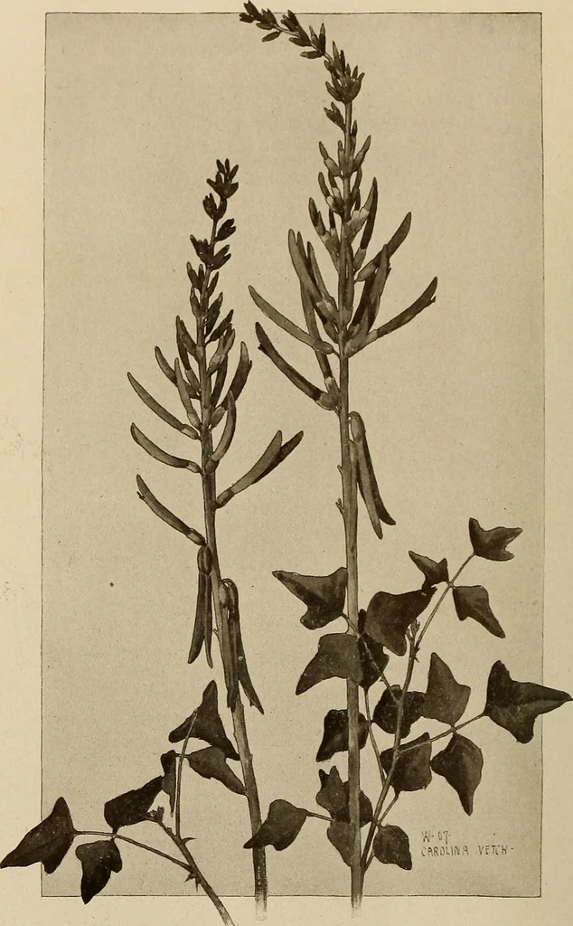 An illustration from Keramic studio, 1899, leaf 85
