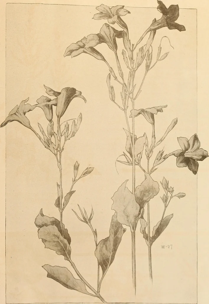An illustration from Keramic studio, 1899, leaf 86