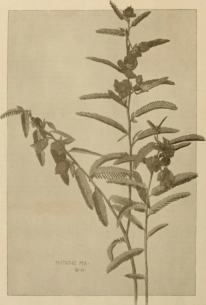 An illustration from Keramic studio, 1899, leaf 89