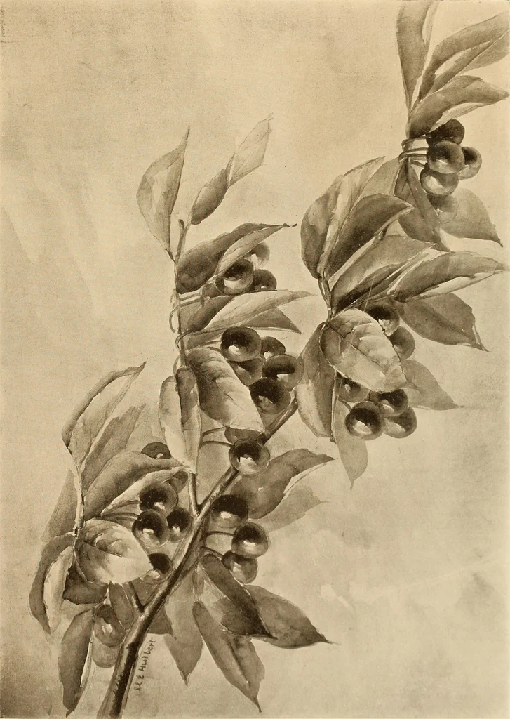 An illustration from Keramic studio, 1899, leaf 98