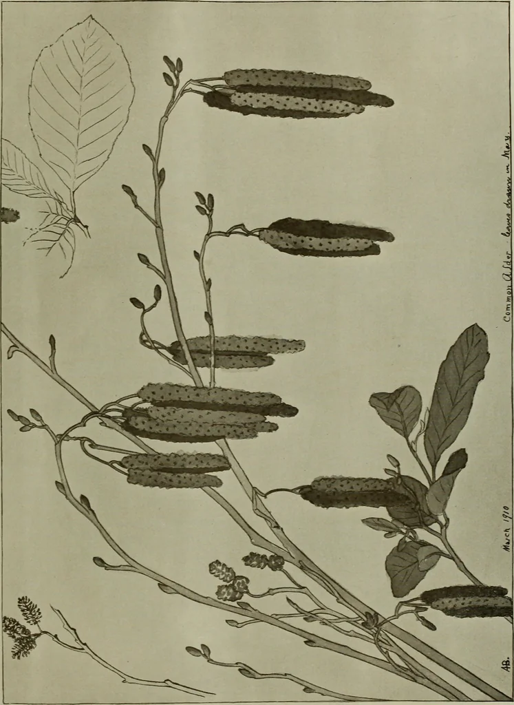 An illustration from Keramic studio, 1899, leaf 102