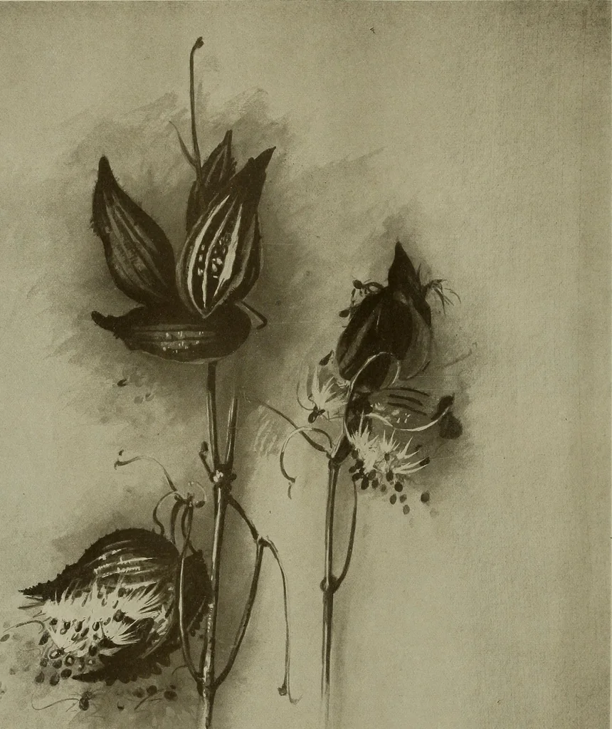 An illustration from Keramic studio, 1899, leaf 105