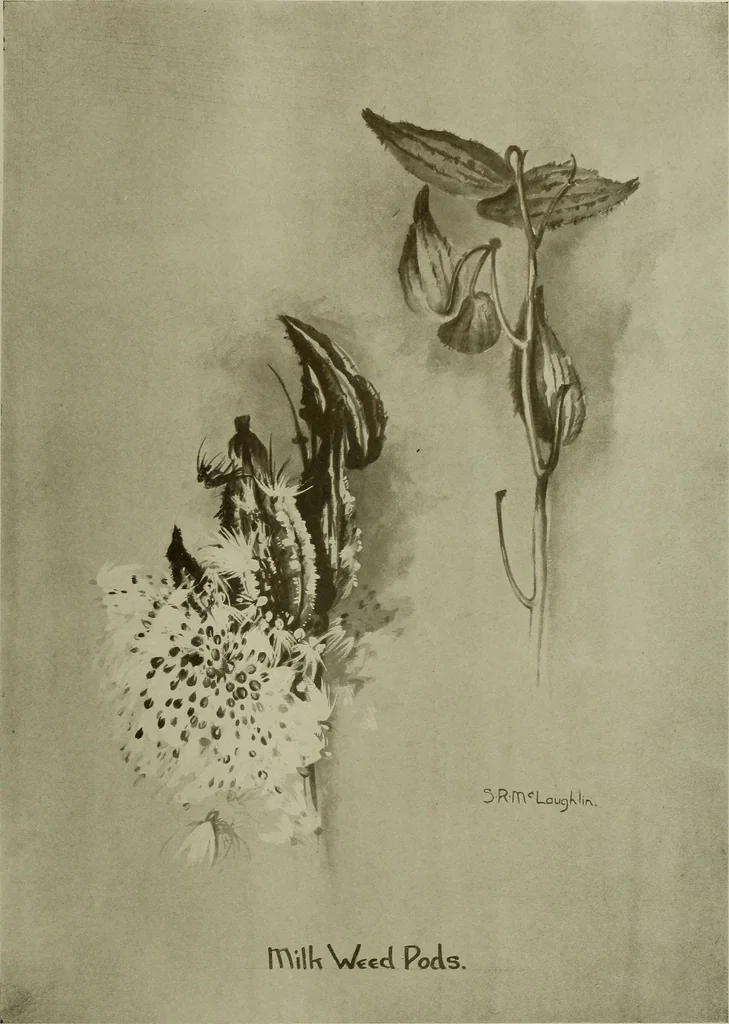 An illustration from Keramic studio, 1899, leaf 106
