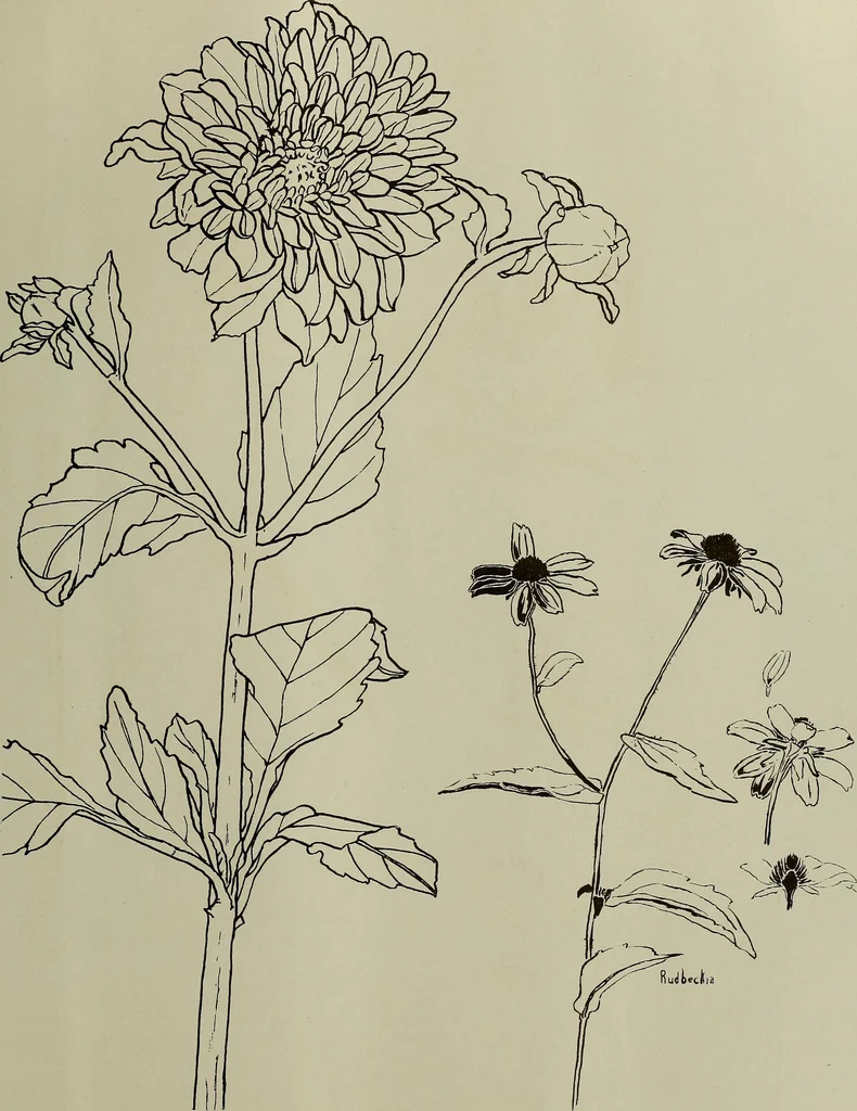 An illustration from Keramic studio, 1899, leaf 112