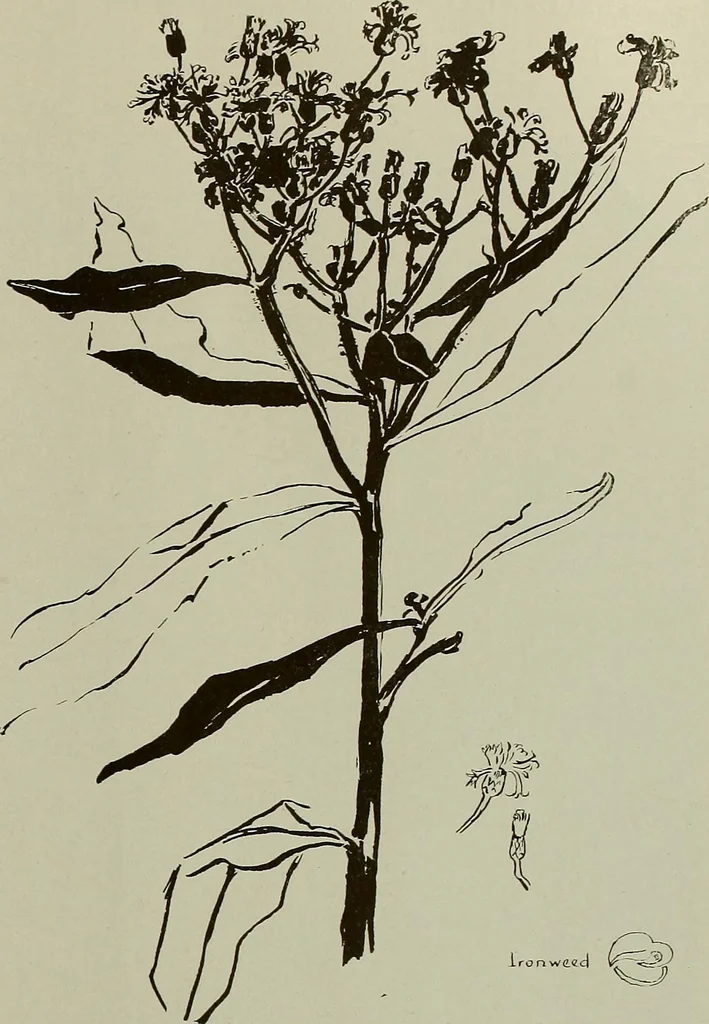 An illustration from Keramic studio, 1899, leaf 114