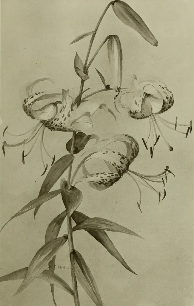 An illustration from Keramic studio, 1899, leaf 126