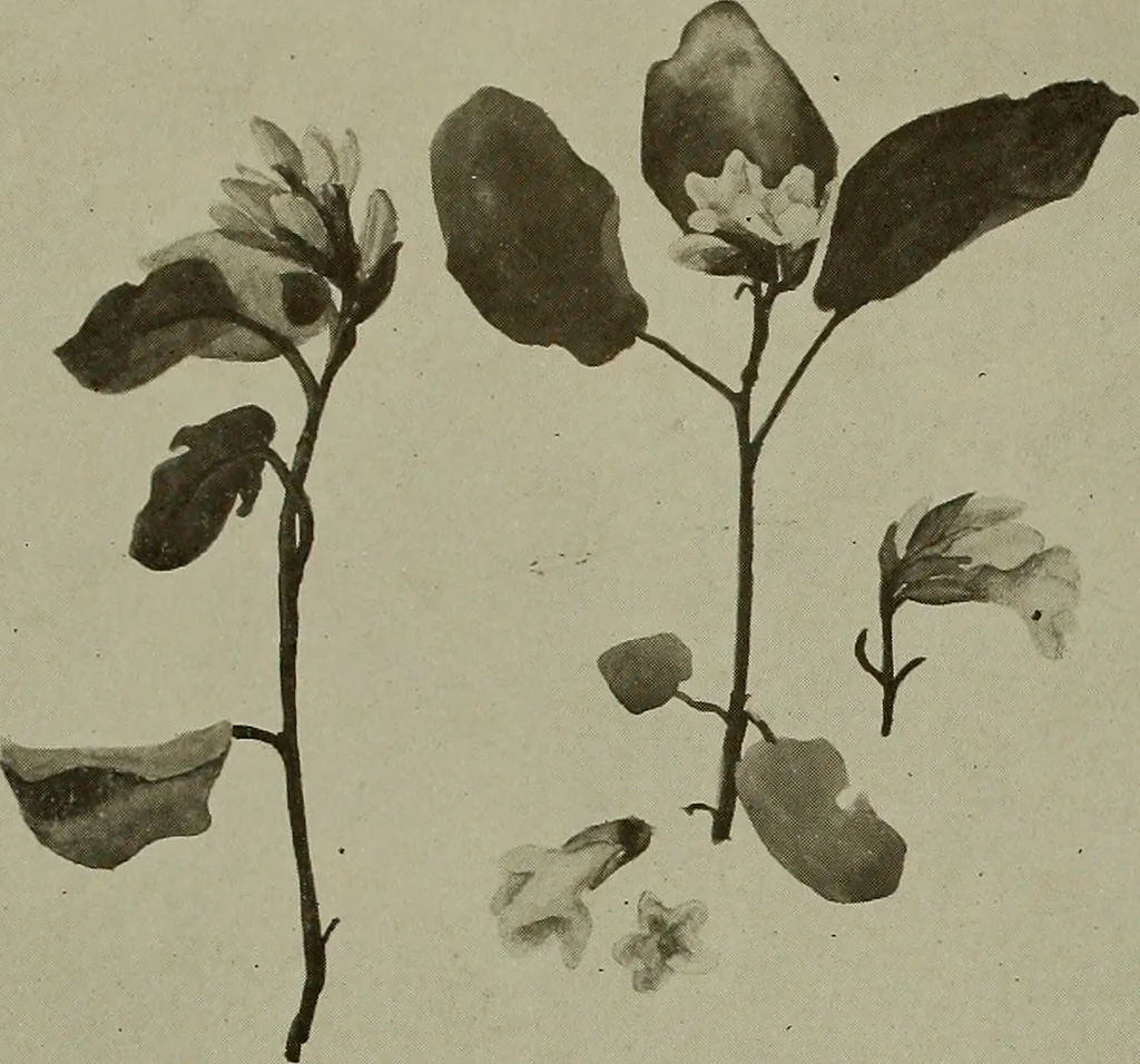 An illustration from Keramic studio, 1899, leaf 139