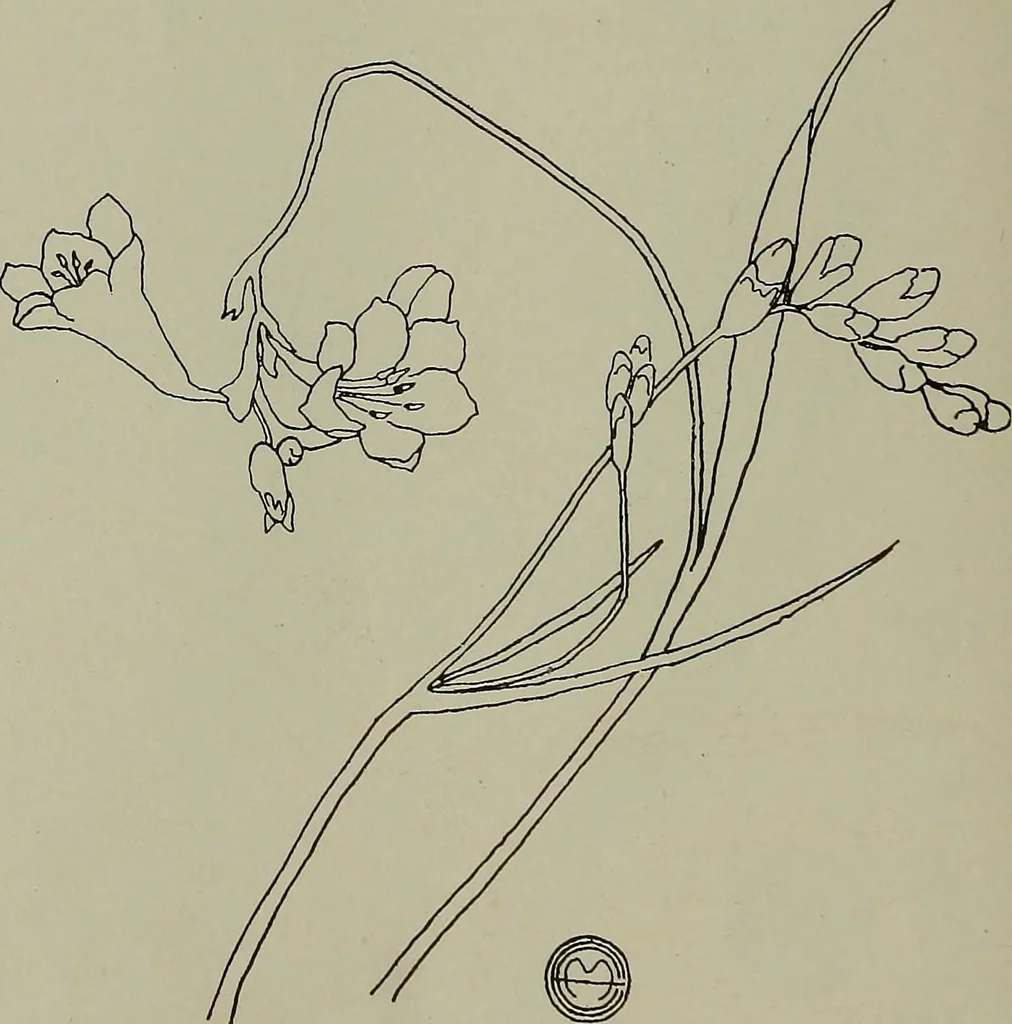 An illustration from Keramic studio, 1899, leaf 143