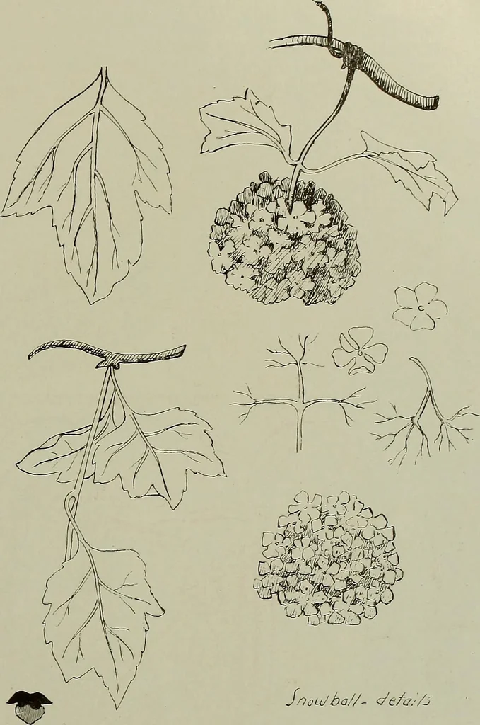 An illustration from Keramic studio, 1899, leaf 144