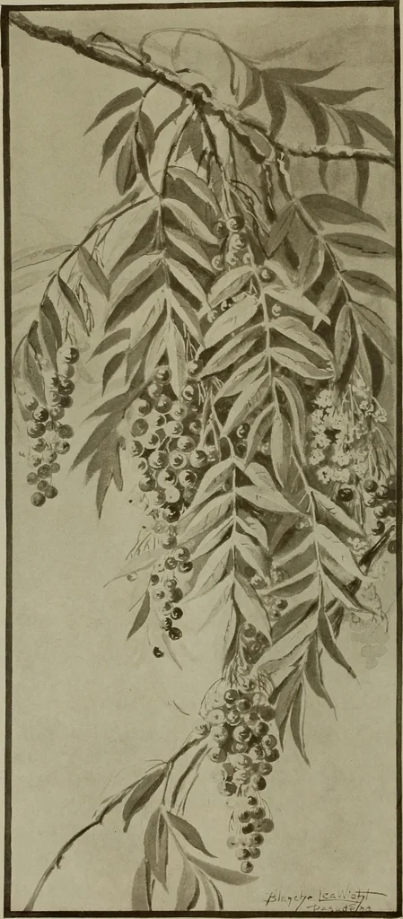 An illustration from Keramic studio, 1899, leaf 157