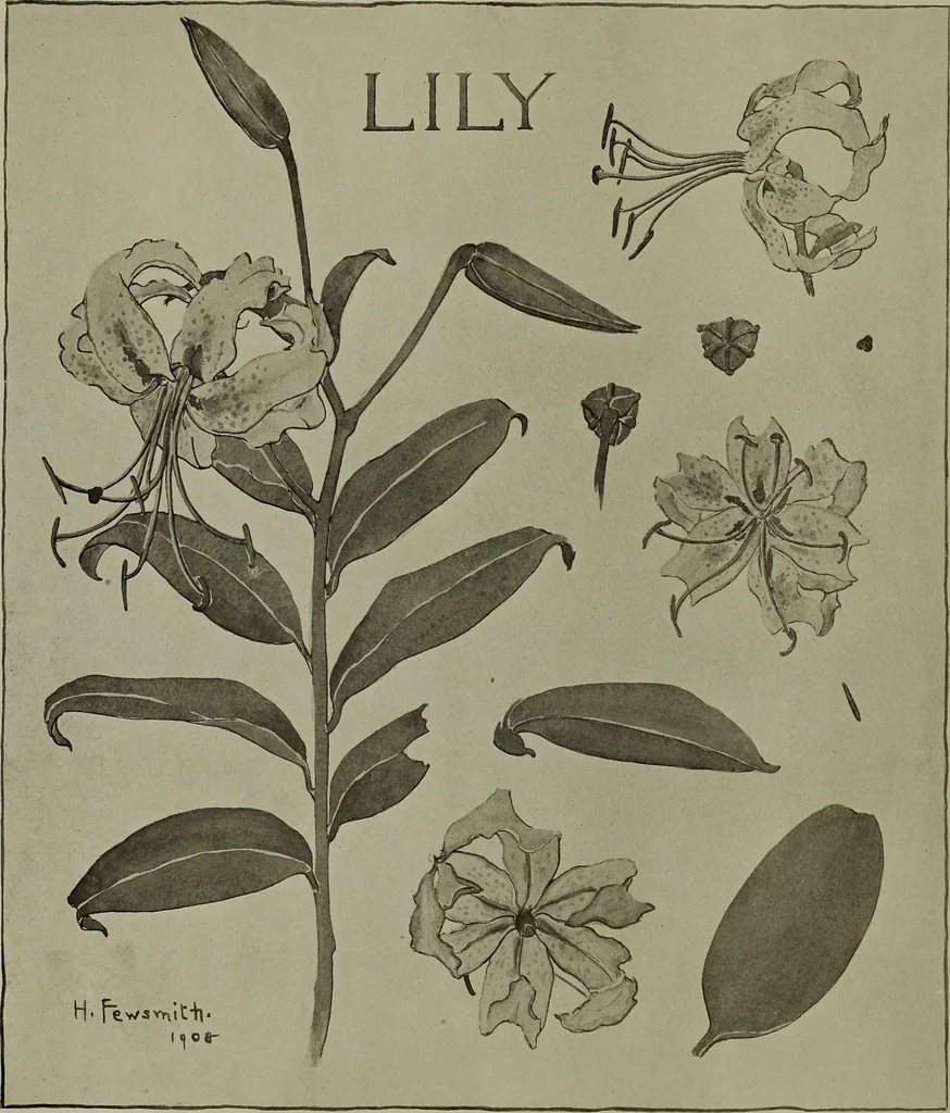 An illustration from Keramic studio, 1899, leaf 165