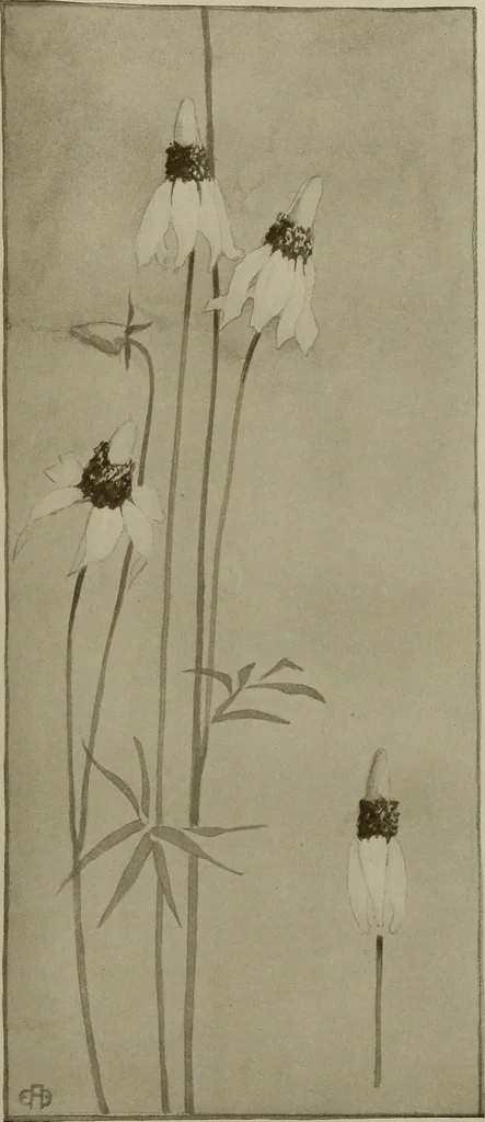 An illustration from Keramic studio, 1899, leaf 168