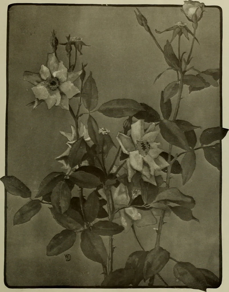 An illustration from Keramic studio, 1899, leaf 20