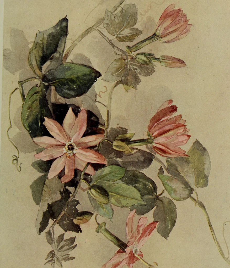 An illustration from Keramic studio, 1899, leaf 222