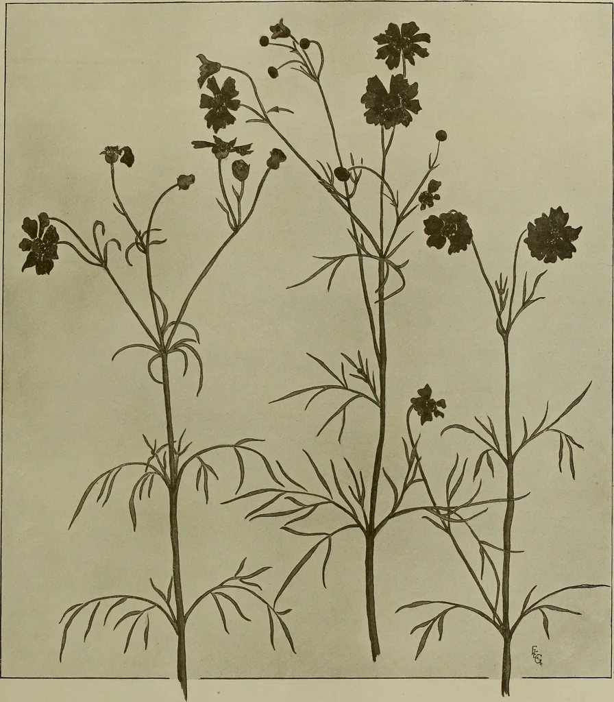 An illustration from Keramic studio, 1899, leaf 242
