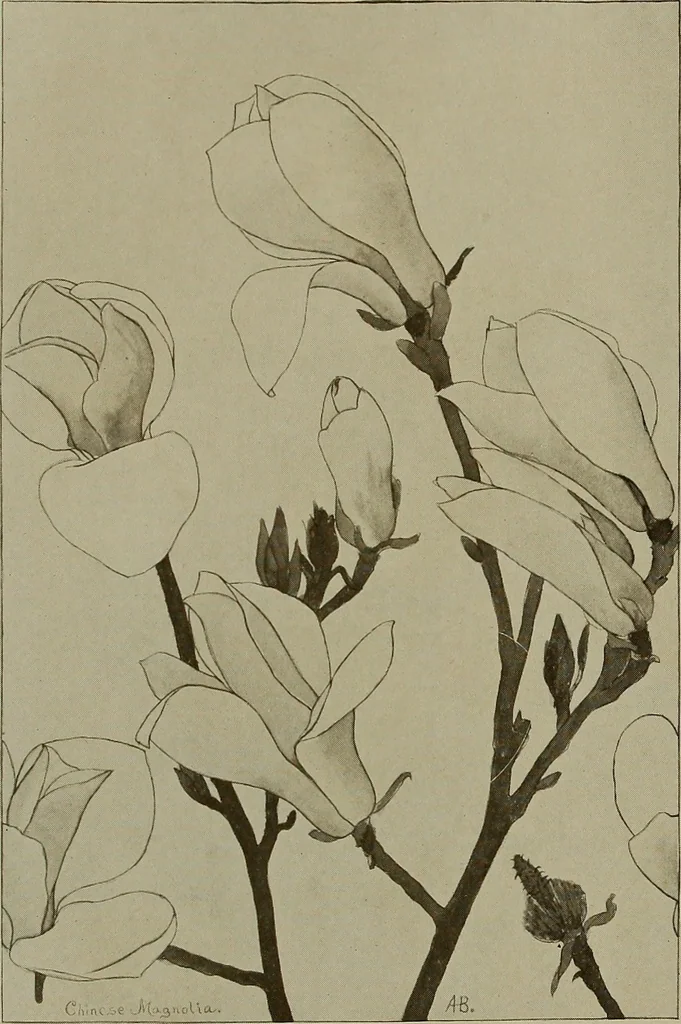 An illustration from Keramic studio, 1899, leaf 243