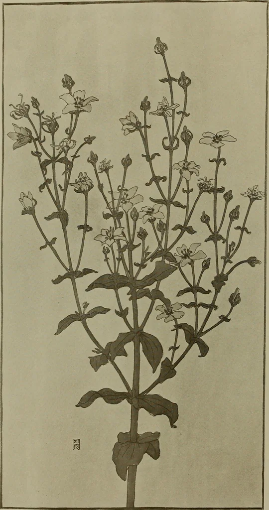 An illustration from Keramic studio, 1899, leaf 245