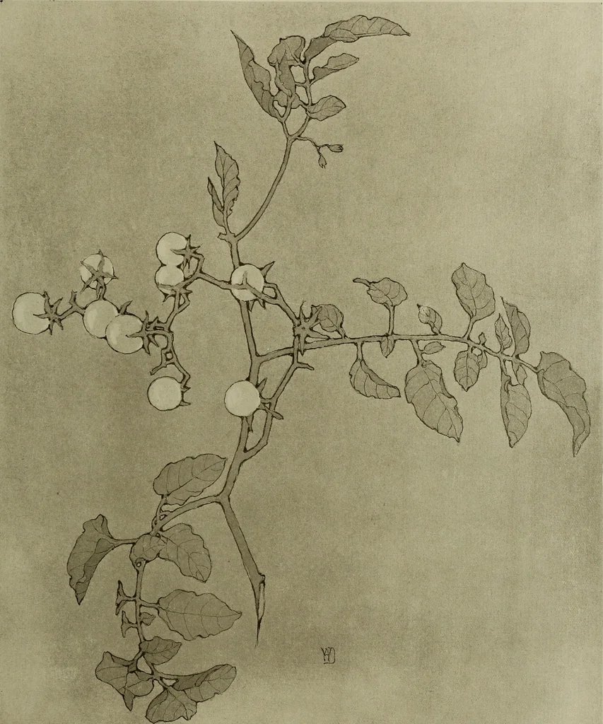 An illustration from Keramic studio, 1899, leaf 246