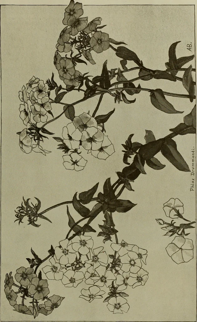 An illustration from Keramic studio, 1899, leaf 278