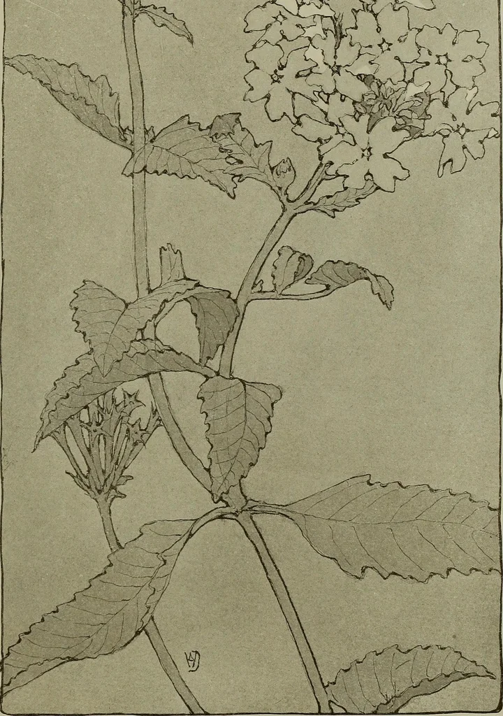 An illustration from Keramic studio, 1899, leaf 292