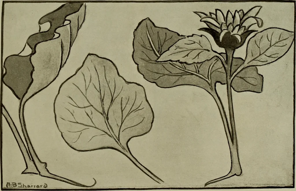 An illustration from Keramic studio, 1899, leaf 302