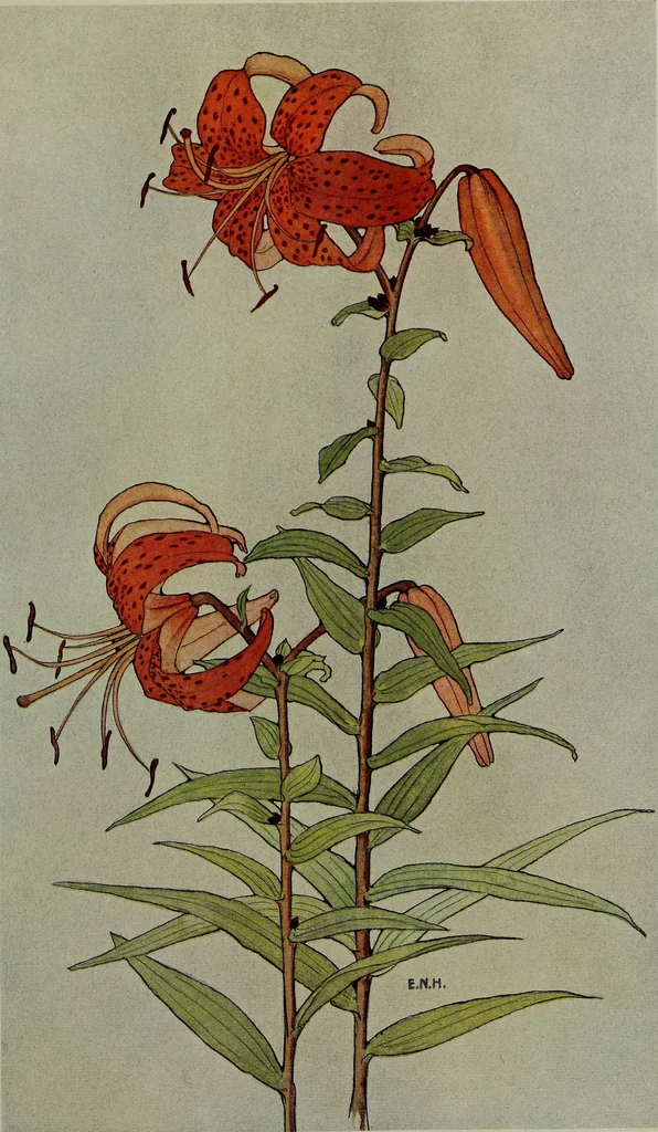 An illustration from Keramic studio, 1899, leaf 312