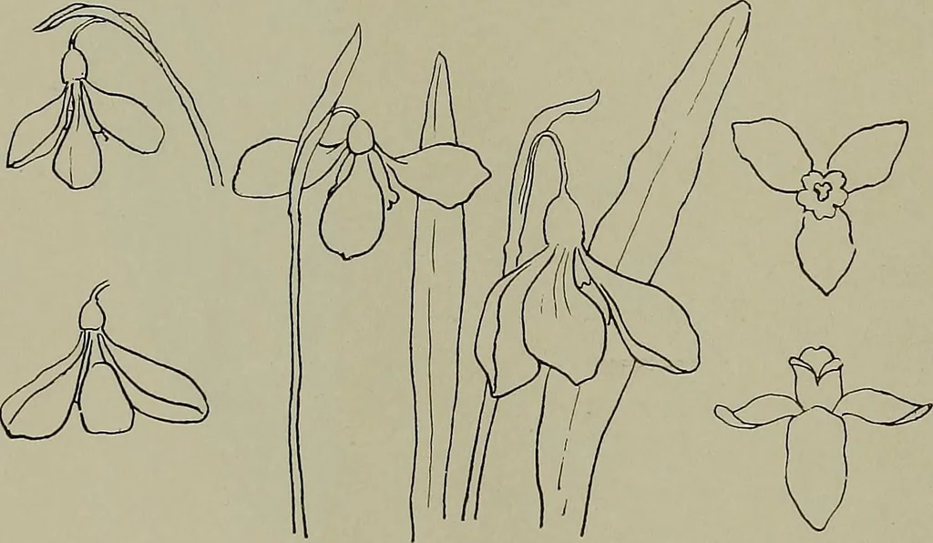 An illustration from Keramic studio, 1899, leaf 327