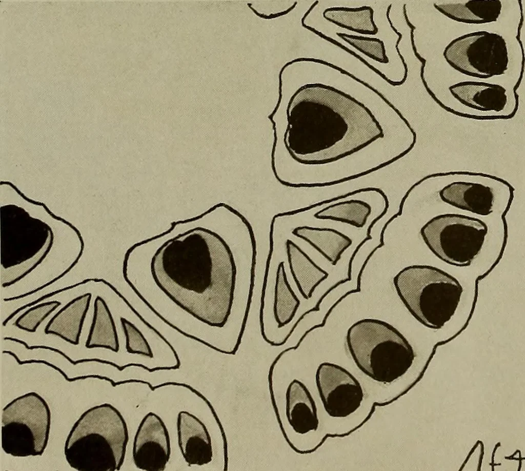 An illustration from Keramic studio, 1899, leaf 327